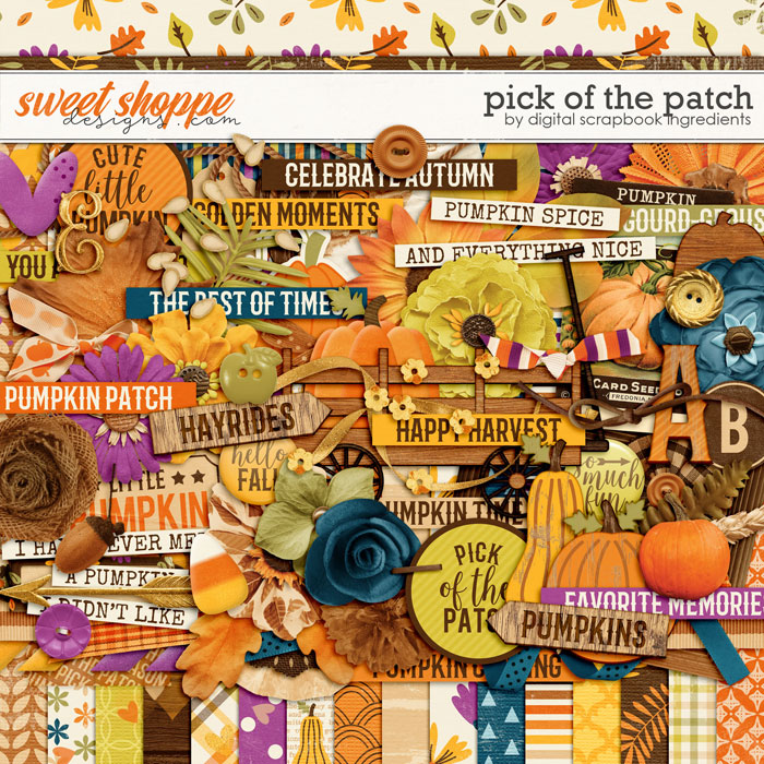 dsi_pickofthepatch