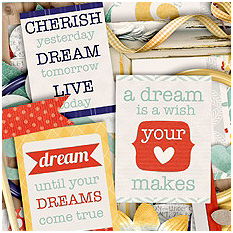Dream by Day by Shawna Clingerman and Kristin Cronin-Barrow