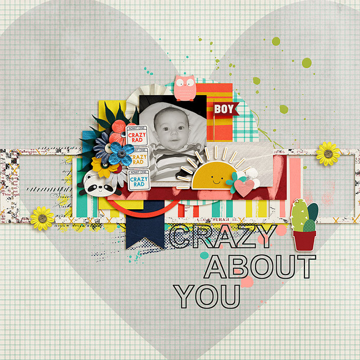 fd-lizzy