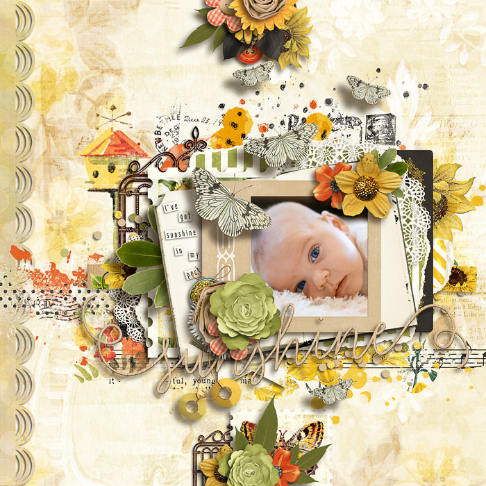 FD-Sheri