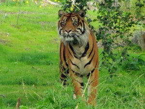 IMG_1828
