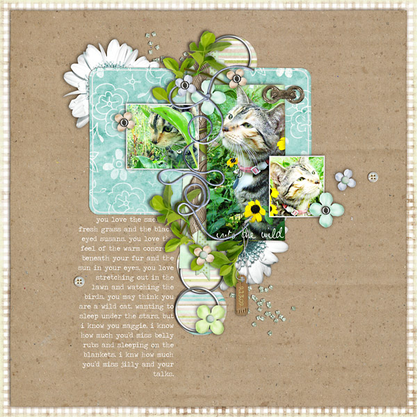 IntoTheWild-Maggie-copy IntoTheWild-Maggie-copy