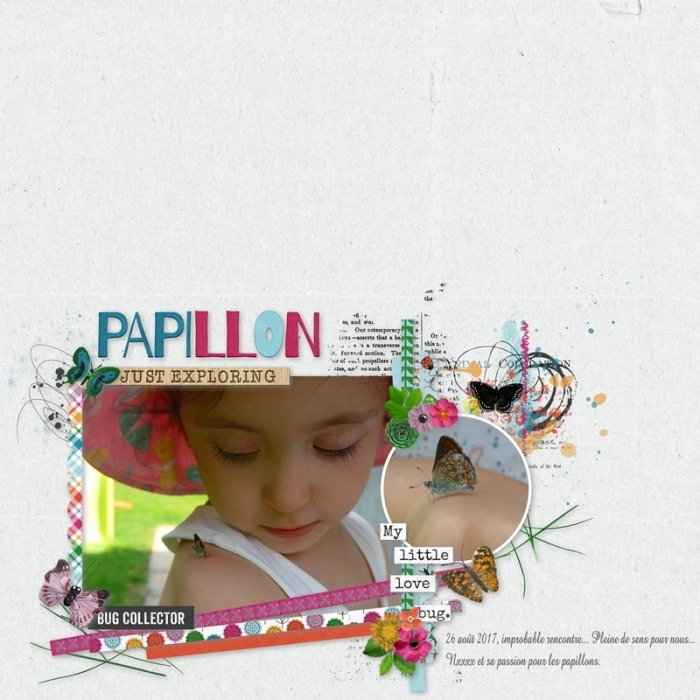 Papillon_gallery_6_Technique_whitespace