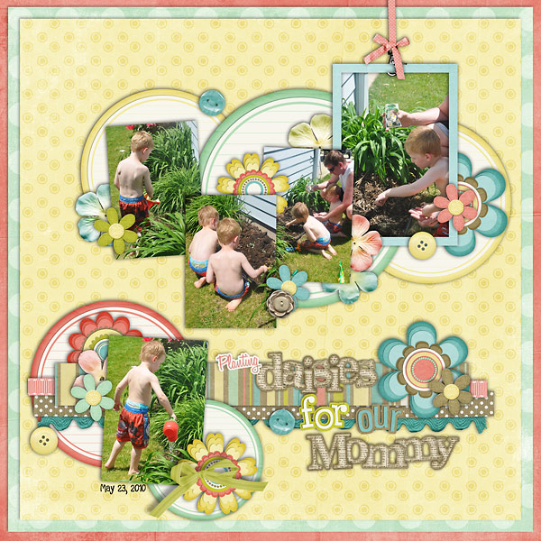 Planting-Daisies
