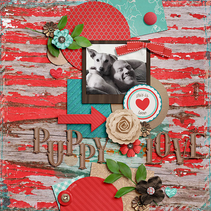 Puppy-Love-_Keely