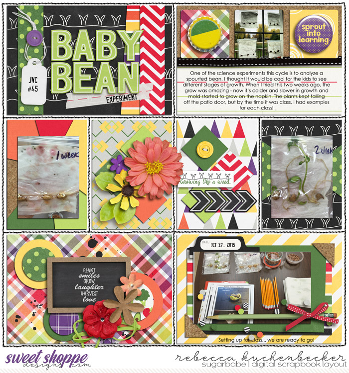 RK_baby-bean-experiment