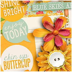 Sunny Side Up by Kristin Cronin-Barrow