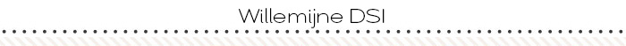 Willemijne DSI