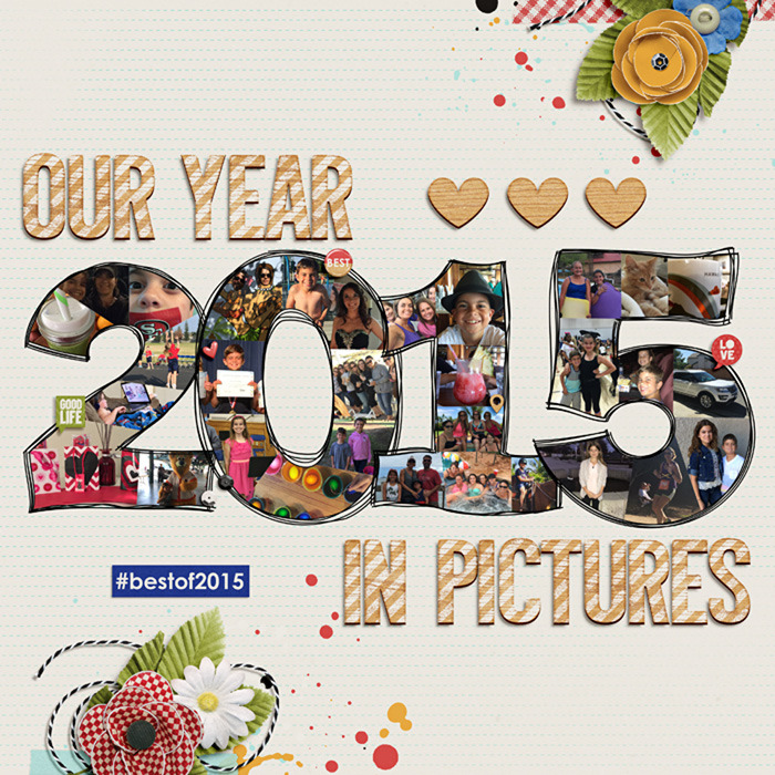 ay_carriereview2015Web