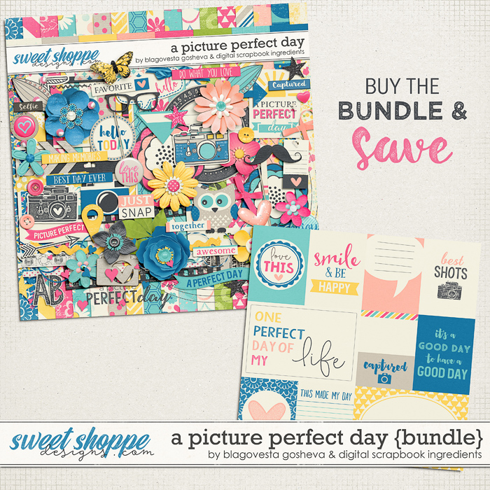 bg_dsi_apictureperfectday_bundle_700