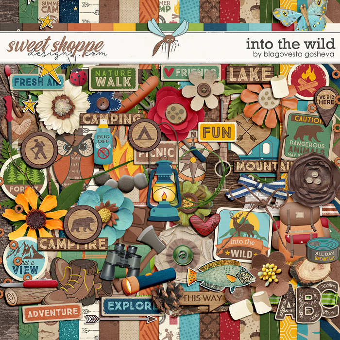 bg_intothewild_preview