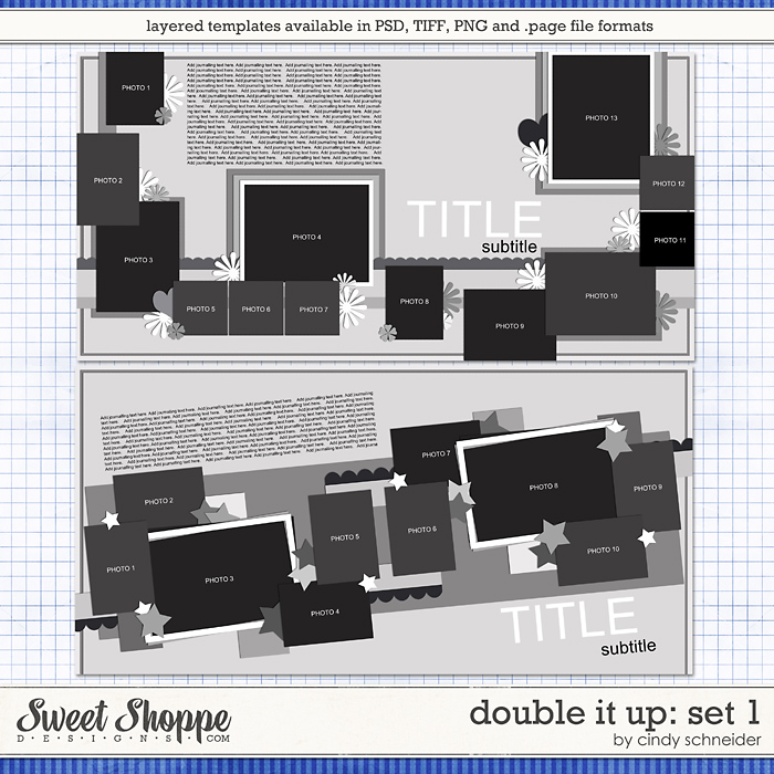 cschneider-DIUset1-preview