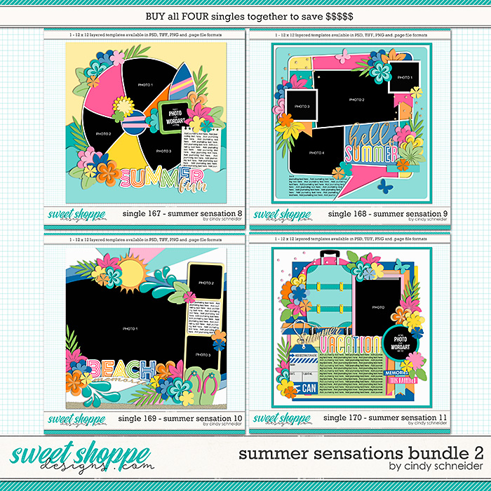 cschneider-SSbundle2-preview