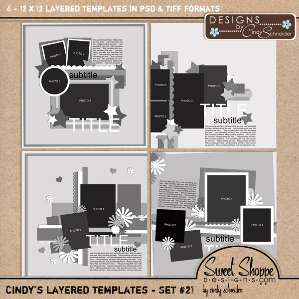 cschneider-templates21-prev