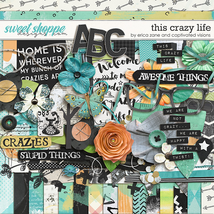 cvisions-ezane-thiscrazylife-kit-700