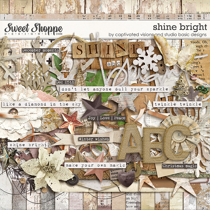 cvisions-sbasic-shinebright-kit