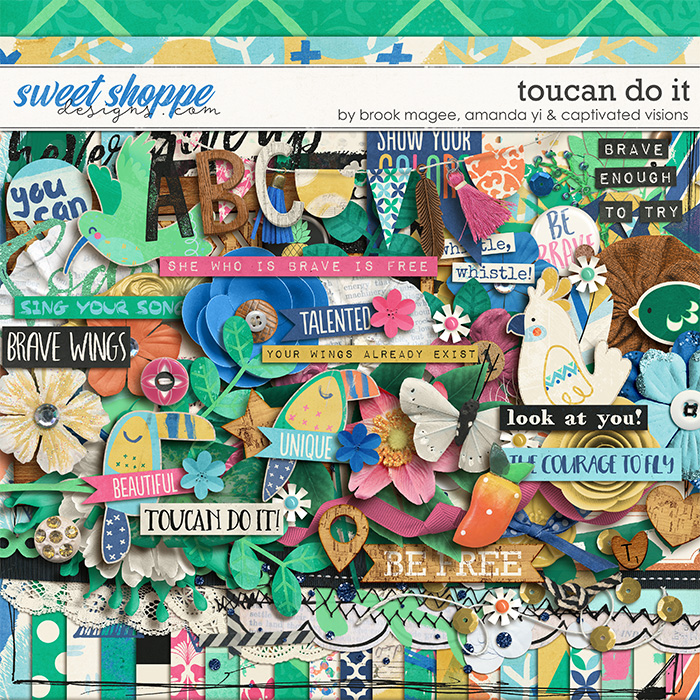 cvisions-toucandoit-kit-700