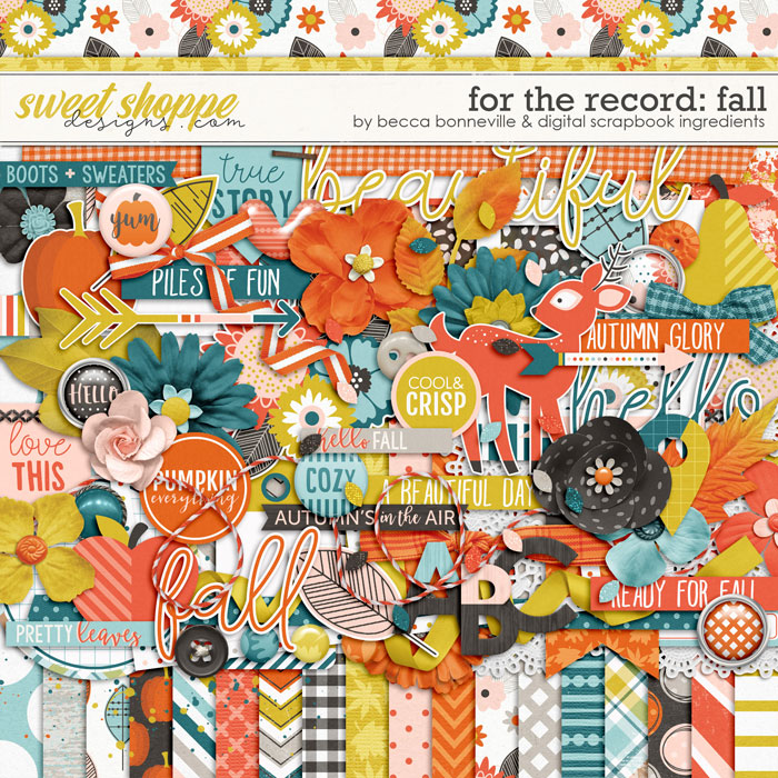 dsibbonn-fortherecordFall