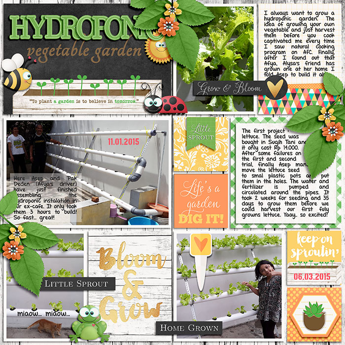 hydroponicgarden_swastinadia