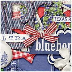i brake for bluebonnets