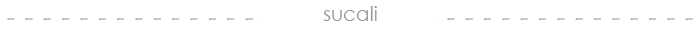 mlm-erica-sucaliT