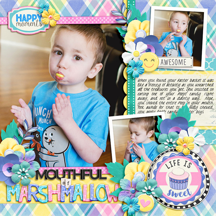 mouthful-of-marshmallow-wm