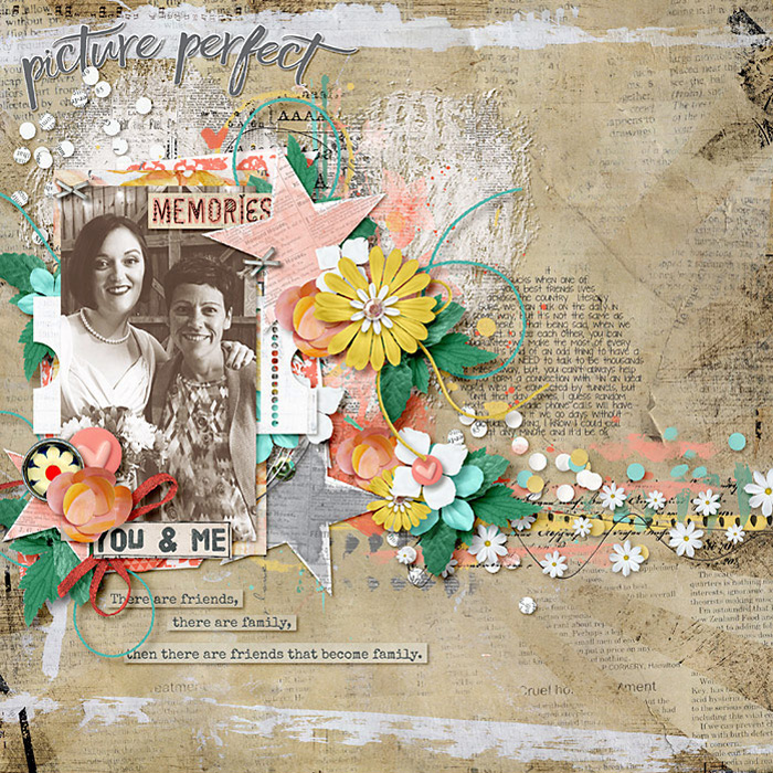 picture-perfect-memories