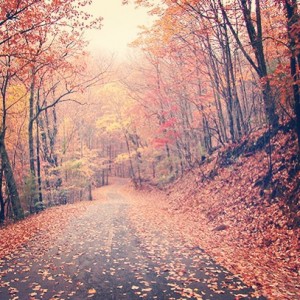 run-autumn2
