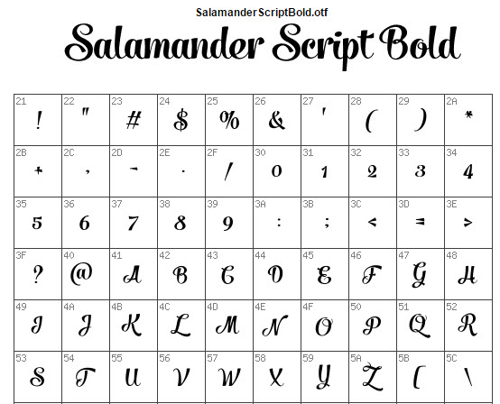 salamander