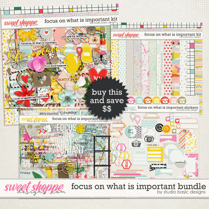 sbasic_focusonwhatsimportant00-bundle