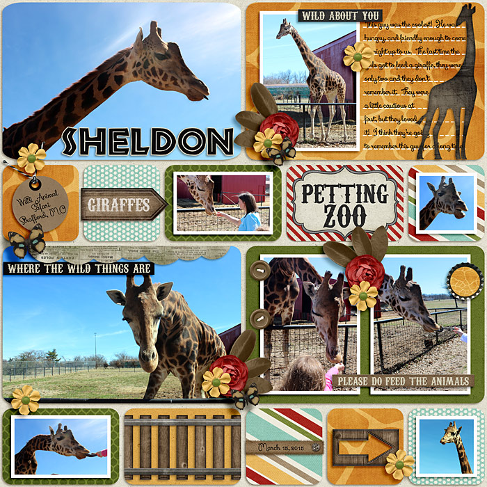 sheldon700_breakingbrie