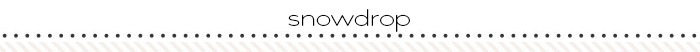 snowdrop