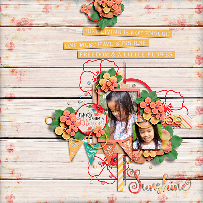 ss9-18_23_immaculeah