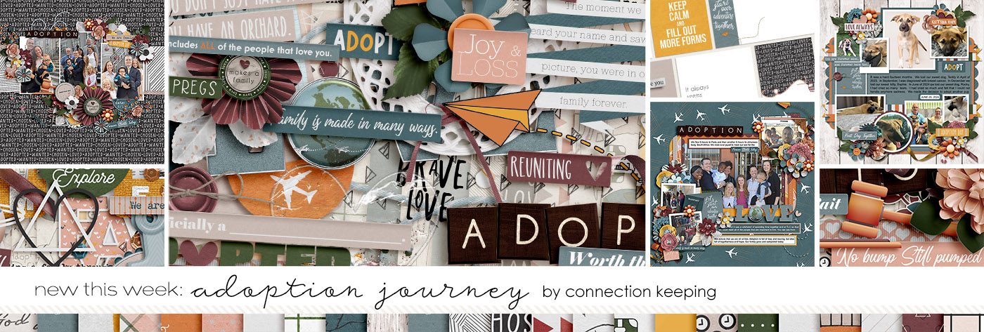 Adoption Journey Preview